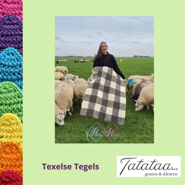 Texelse Tegels